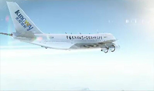 【創(chuàng)意】看飛機(jī)上的標(biāo)志